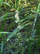 IMG_9024