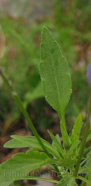 IMG_2883.jpg