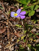 IMG_1976