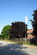 IMG_1799