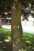 IMG_1827