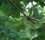IMG_3856