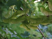 IMG_3857
