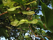 IMG_9054