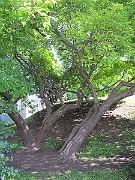 IMG_0722