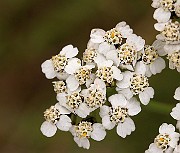 IMG_0576