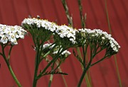 IMG_6157