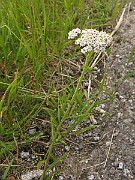 IMG_6321