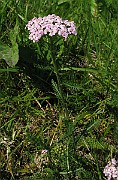 IMG_8024