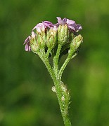 IMG_8029