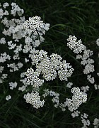 IMG_2401