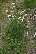 IMG_2404