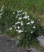 IMG_9841