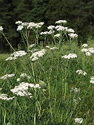 IMG_9854
