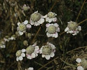 IMG_4078