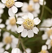 IMG_0563