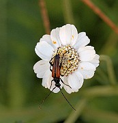 IMG_0784