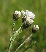 IMG_6250