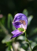 IMG_2025