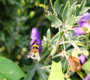 IMG_2028