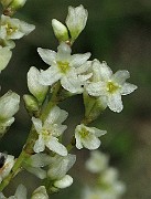 IMG_2904