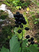 IMG_3172