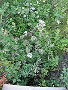 IMG_8039