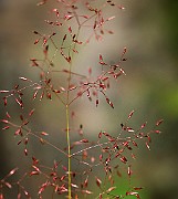 IMG_9906