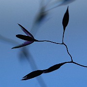 IMG_9973
