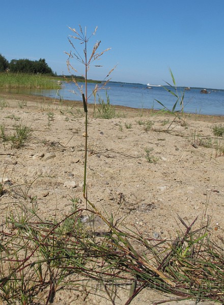 IMG_9753.JPG