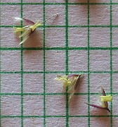 IMG_4362