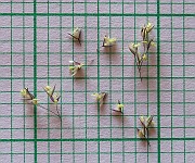 IMG_4363