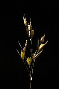 IMG_4376