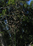 IMG_5483