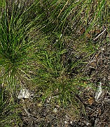 IMG_5492
