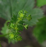 IMG_6496
