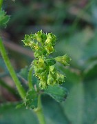IMG_2655