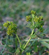 IMG_2657