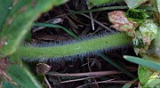 IMG_2659