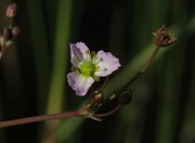 IMG_0034