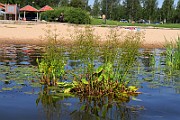 IMG_0405