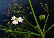 IMG_0431