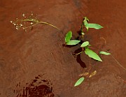 IMG_1898