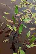 IMG_1902