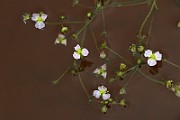 IMG_1903