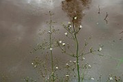 IMG_1929