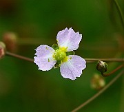 IMG_1935