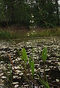 IMG_5110