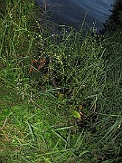 IMG_8738