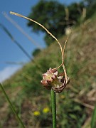 IMG_7313